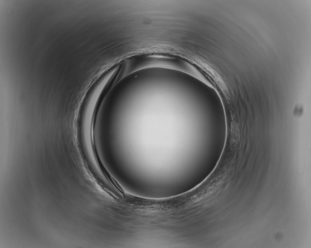 X0000097970485200803241239