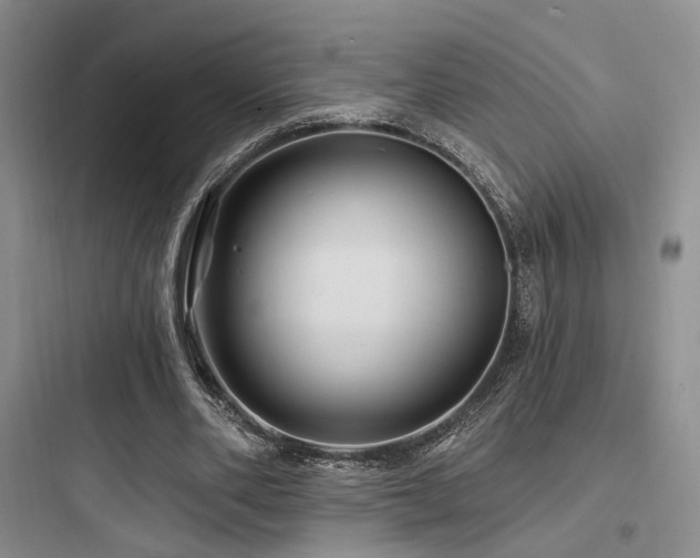 X0000097970486200803241239