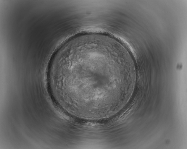 X0000097970487200803241239