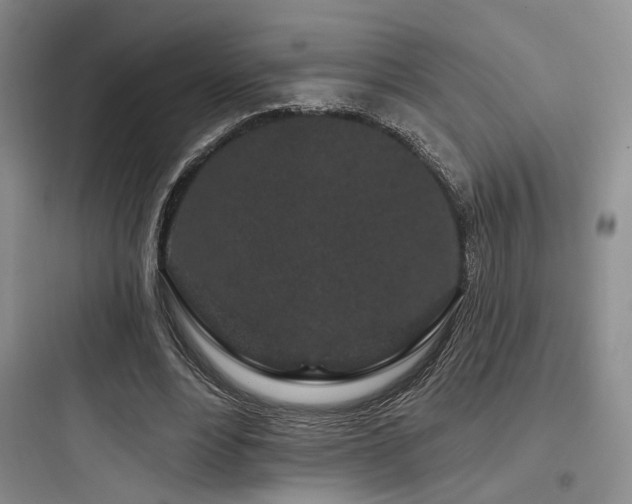 X0000097970488200803241239