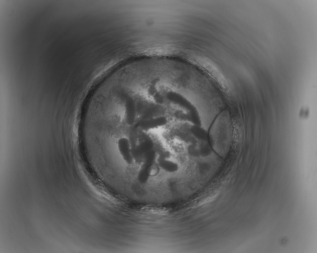 X0000097970491200803241239