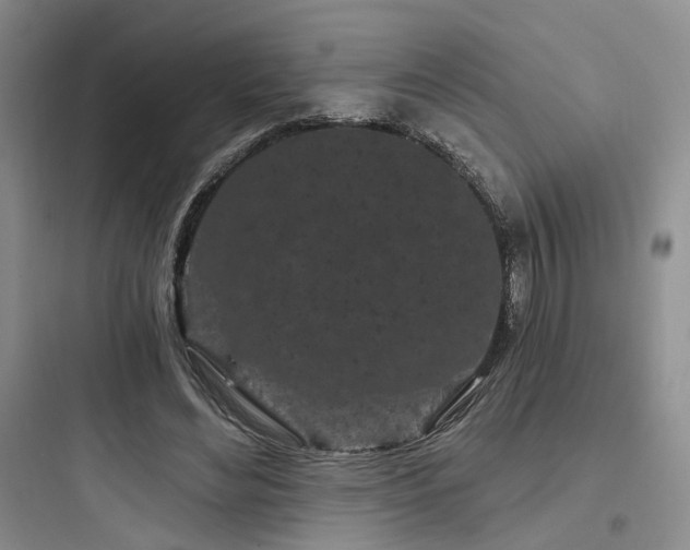 X0000097970492200803241239