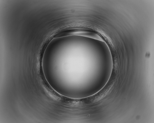 X0000097970493200803241238