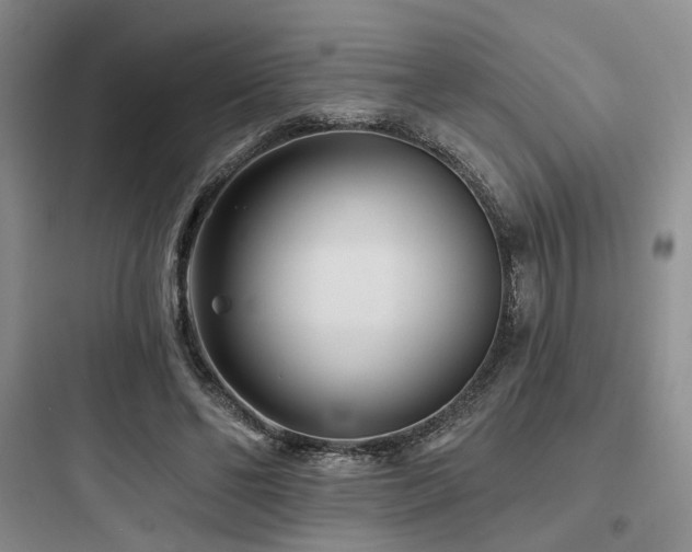 X0000097970494200803241238