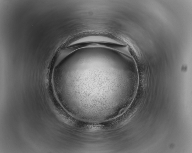 X0000097970495200803241238