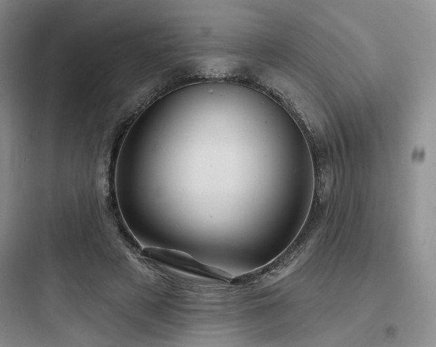 X0000097970497200803241238