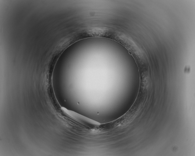 X0000097970498200803241238