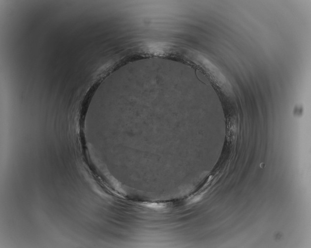 X0000097970500200803241238
