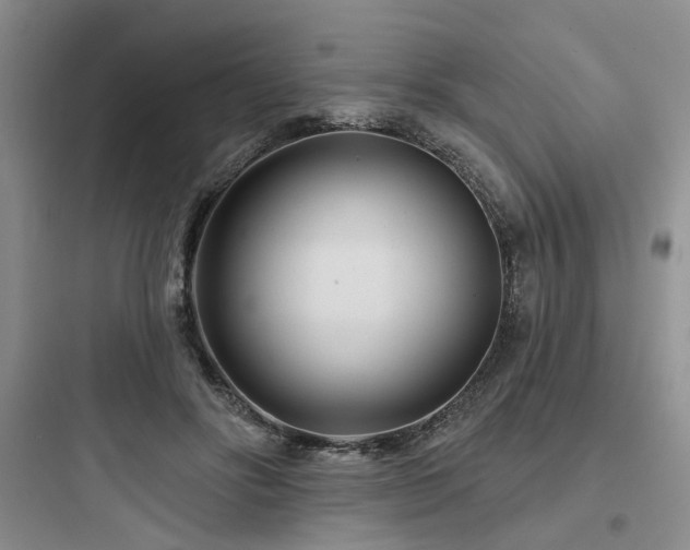 X0000097970502200803241238