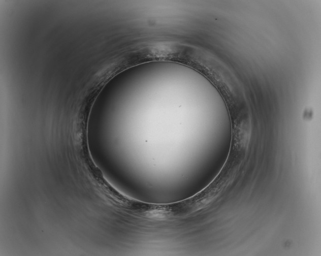X0000097970505200803241238