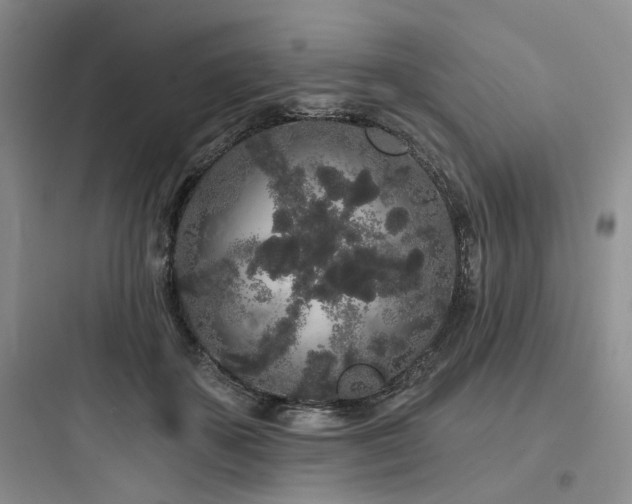 X0000097970507200803241238