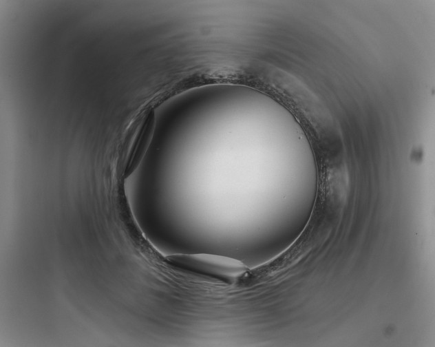 X0000097970508200803241238