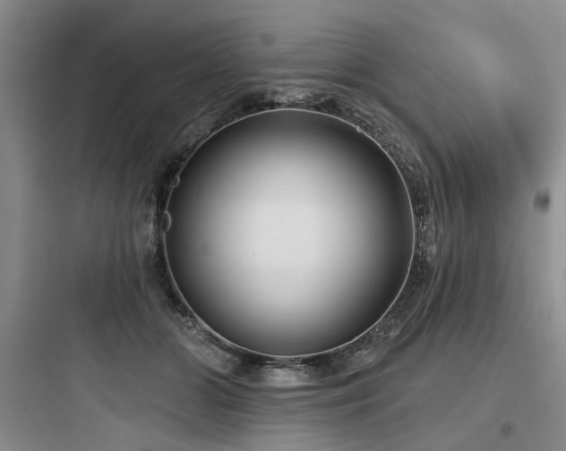 X0000097970510200803241238