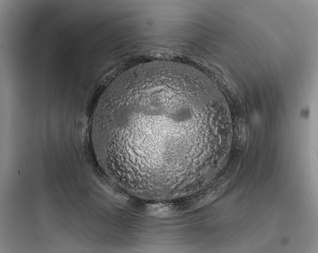 X0000097970511200803241238