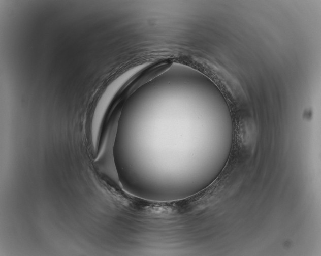 X0000097970512200803241238