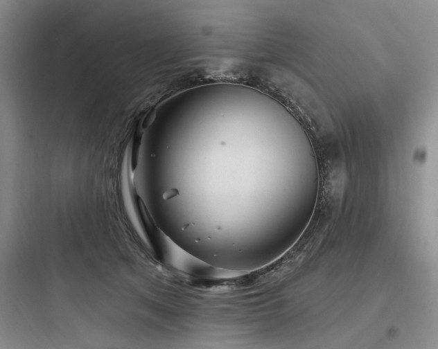 X0000097970513200803241238