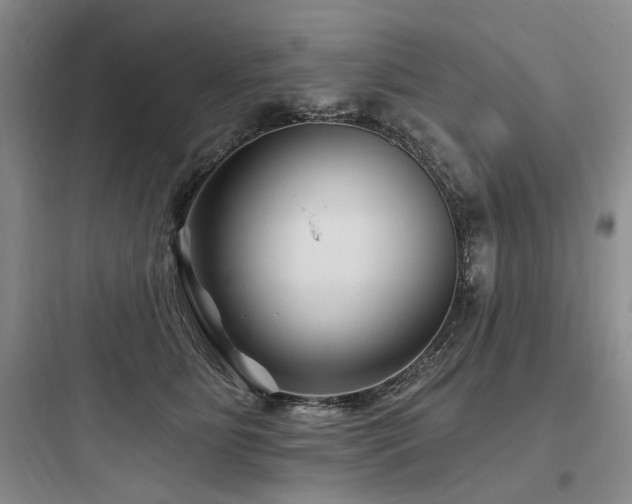 X0000097970515200803241238