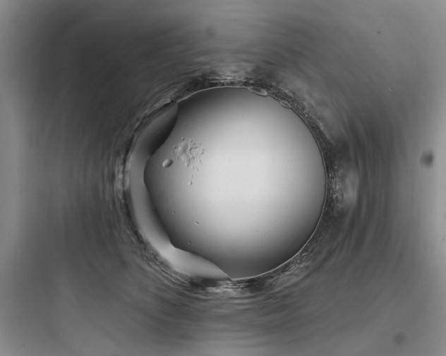 X0000097970516200803241238