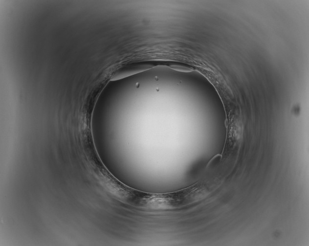 X0000097970518200803241238