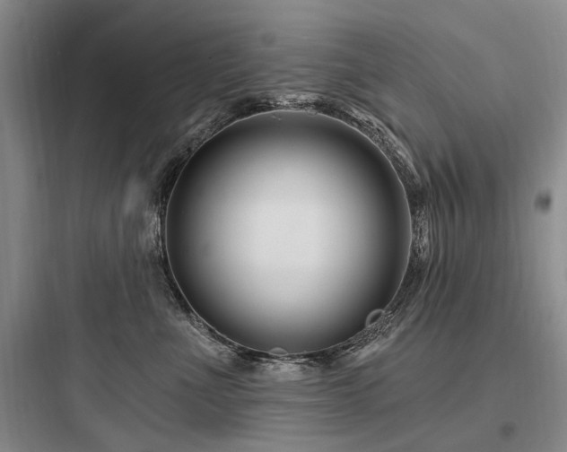 X0000097970523200803241238