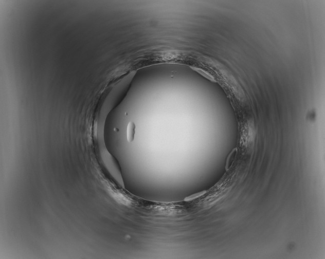 X0000097970524200803241238
