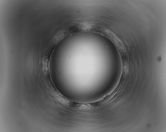 X0000097970525200803241238