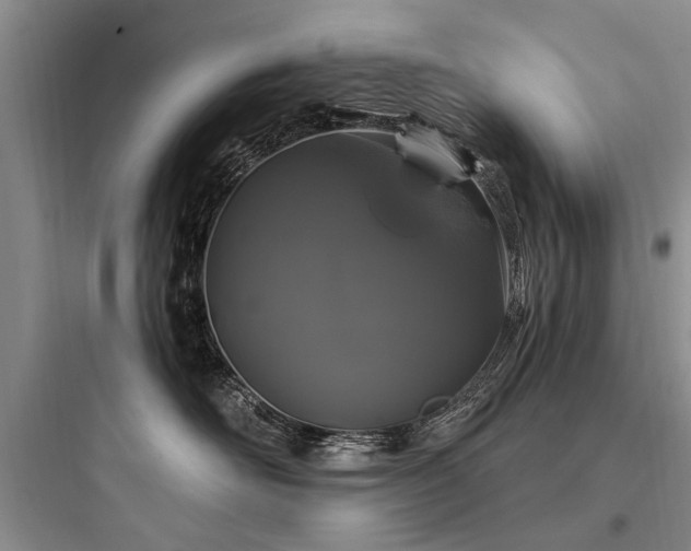 X0000097970526200803241238