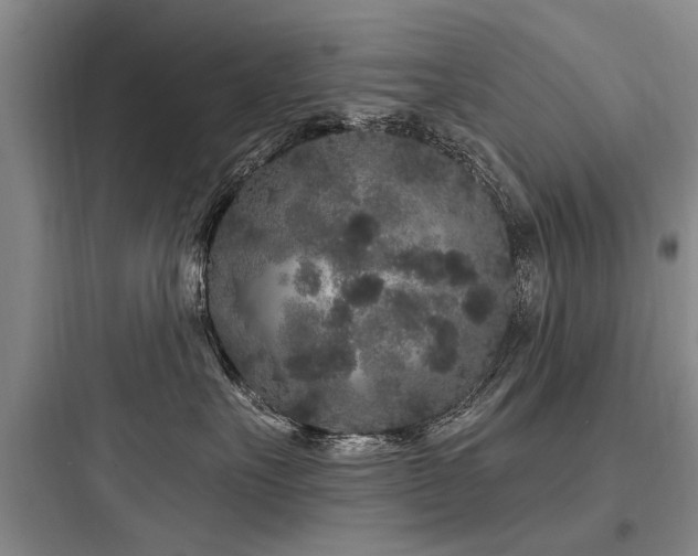 X0000097970527200803241238