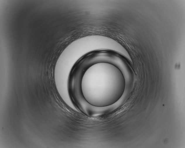 X0000097970528200803241238