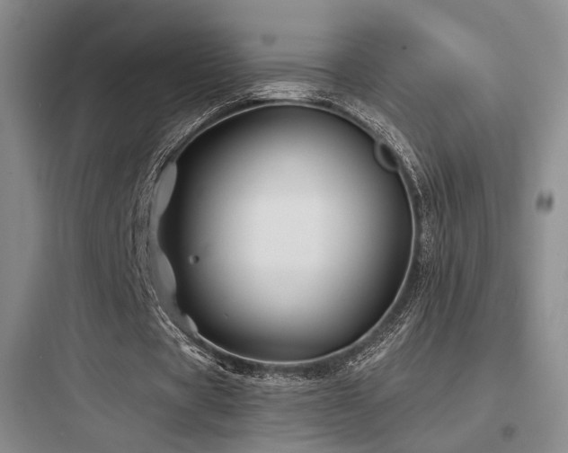 X0000097970529200803241237