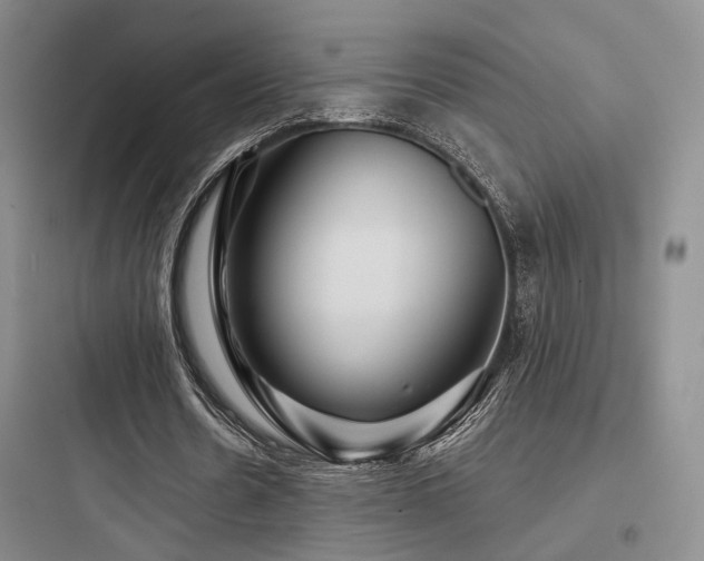X0000097970530200803241237