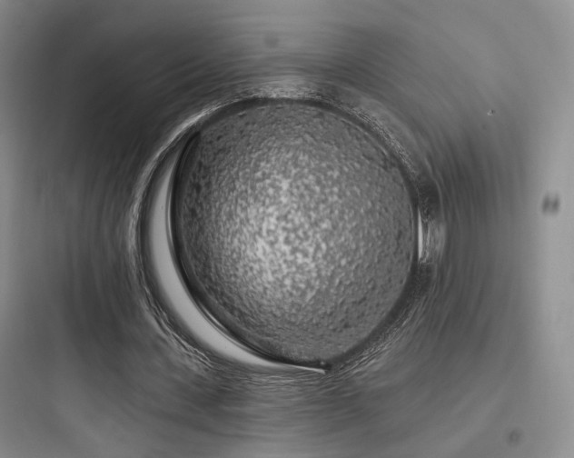 X0000097970531200803241237