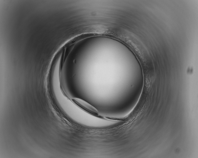 X0000097970532200803241237