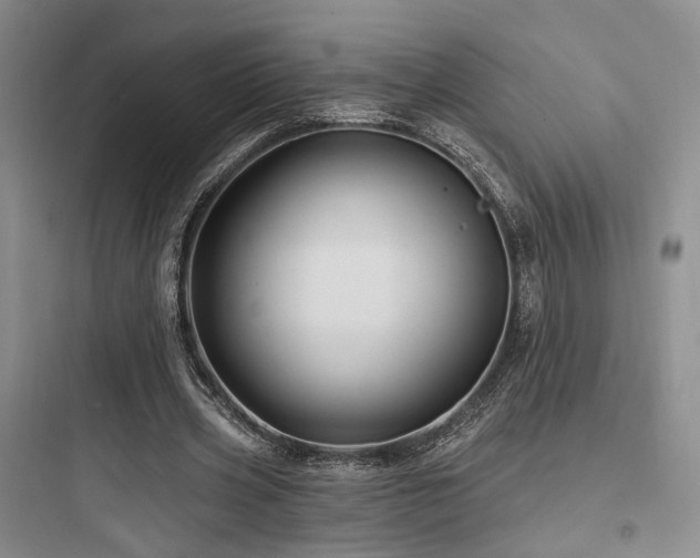 X0000097970533200803241237