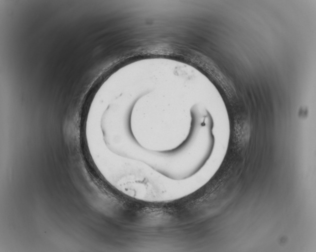 X0000097970534200803241237