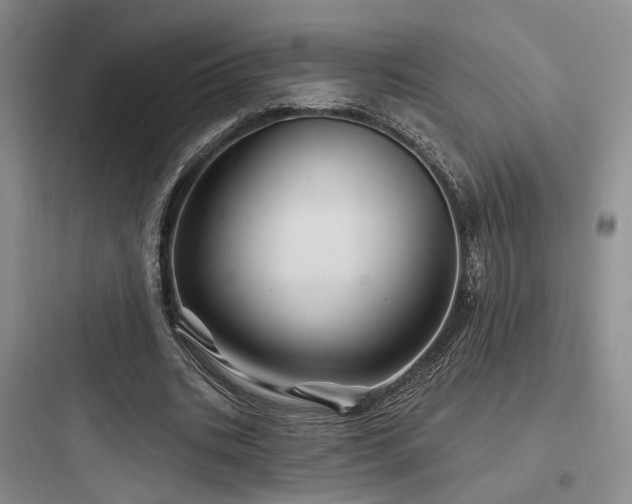 X0000097970535200803241237