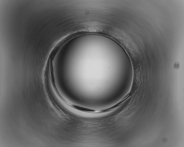 X0000097970536200803241237