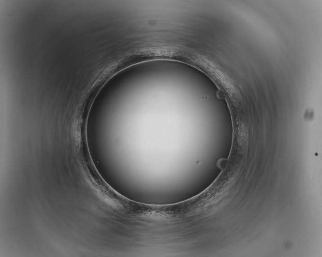 X0000097970537200803241237