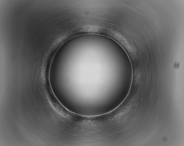 X0000097970538200803241237