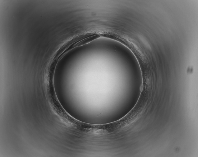 X0000097970539200803241237
