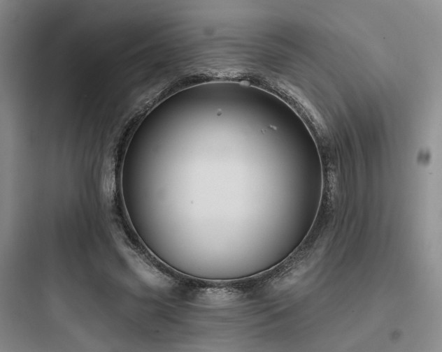 X0000097970541200803241238