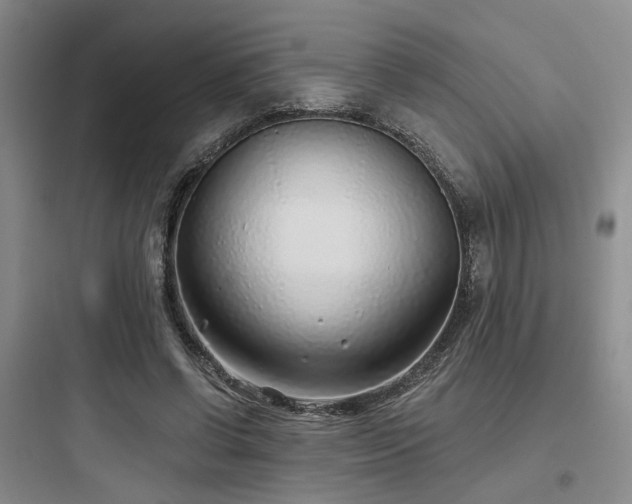 X0000097970542200803241238