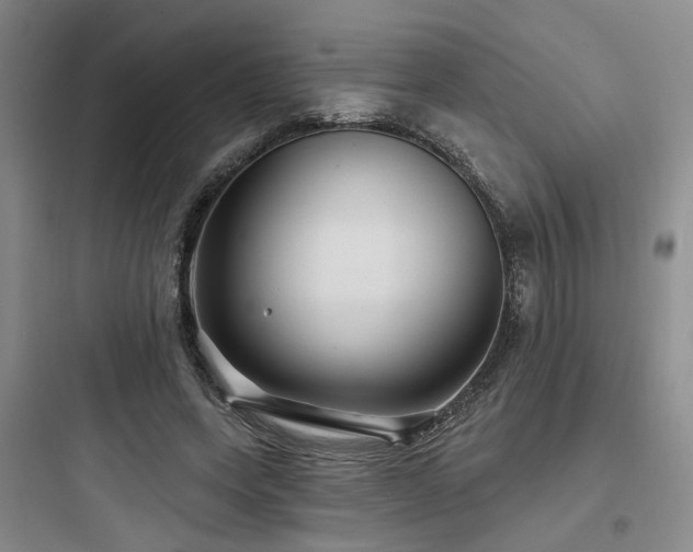 X0000097970543200803241238