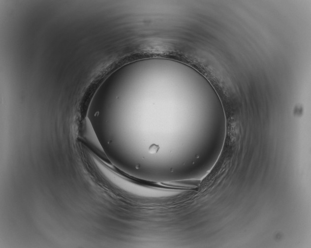 X0000097970544200803241238