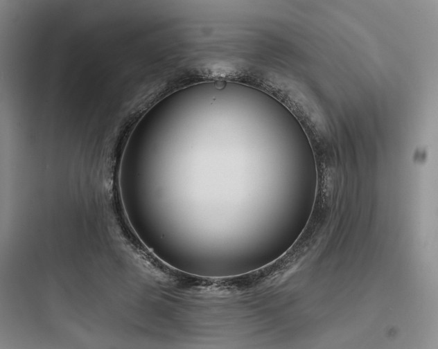 X0000097970545200803241238