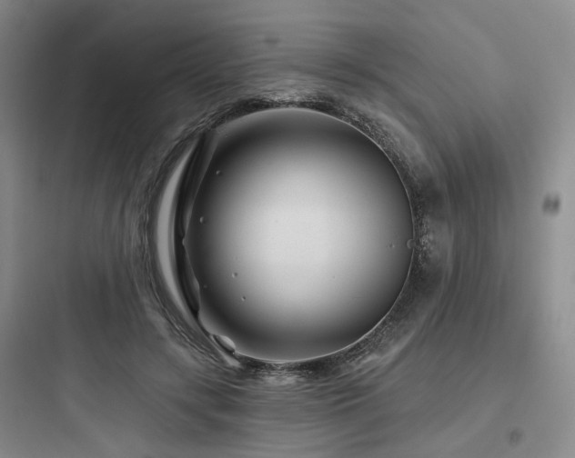 X0000097970547200803241238