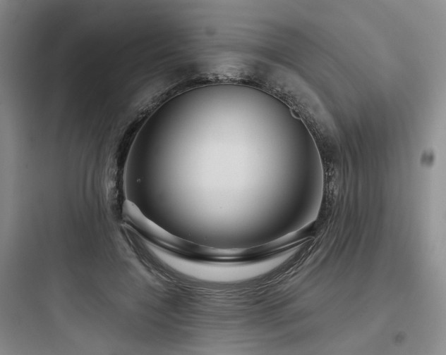 X0000097970548200803241238