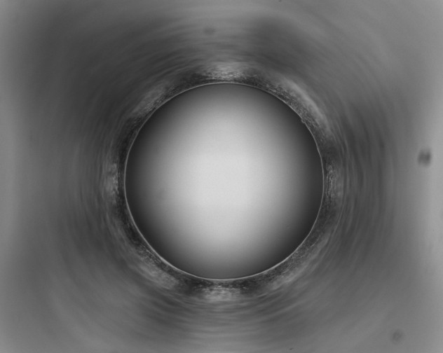 X0000097970549200803241238