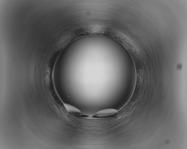 X0000097970550200803241238