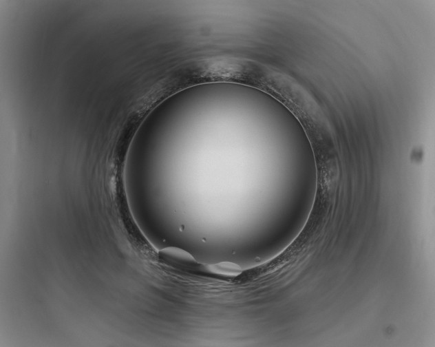 X0000097970551200803241238